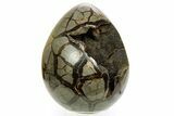 Septarian Dragon Egg Geode - Ammonite Cross Sections #364462-1